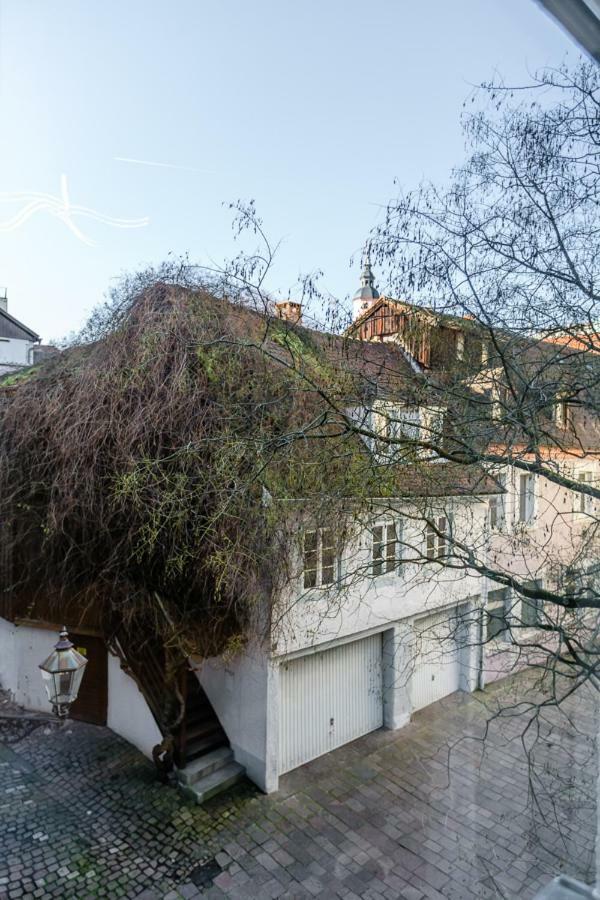 City Apartment An Der Caracalla Therme Baden-Baden Eksteriør bilde